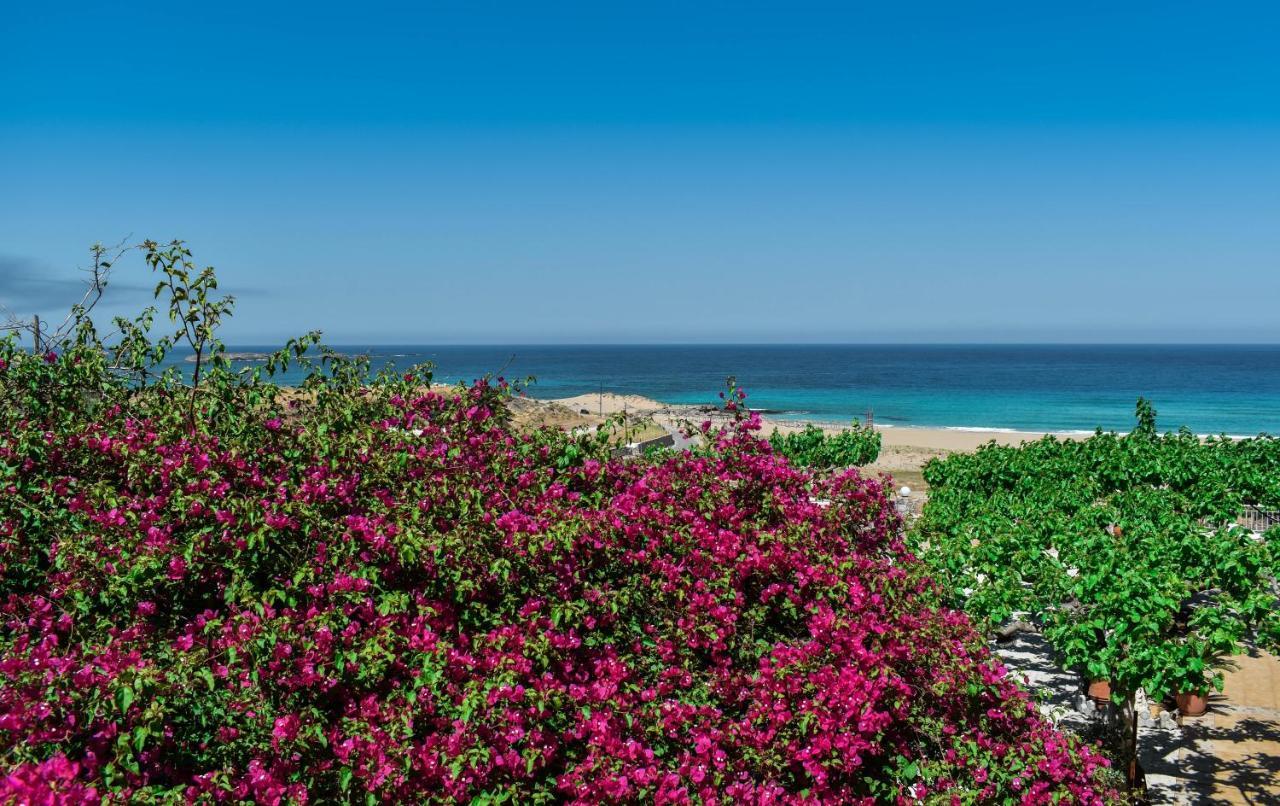 Panorama Hotel ファラサルナ エクステリア 写真